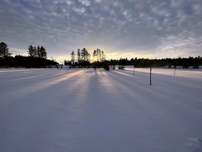 Winter Scene